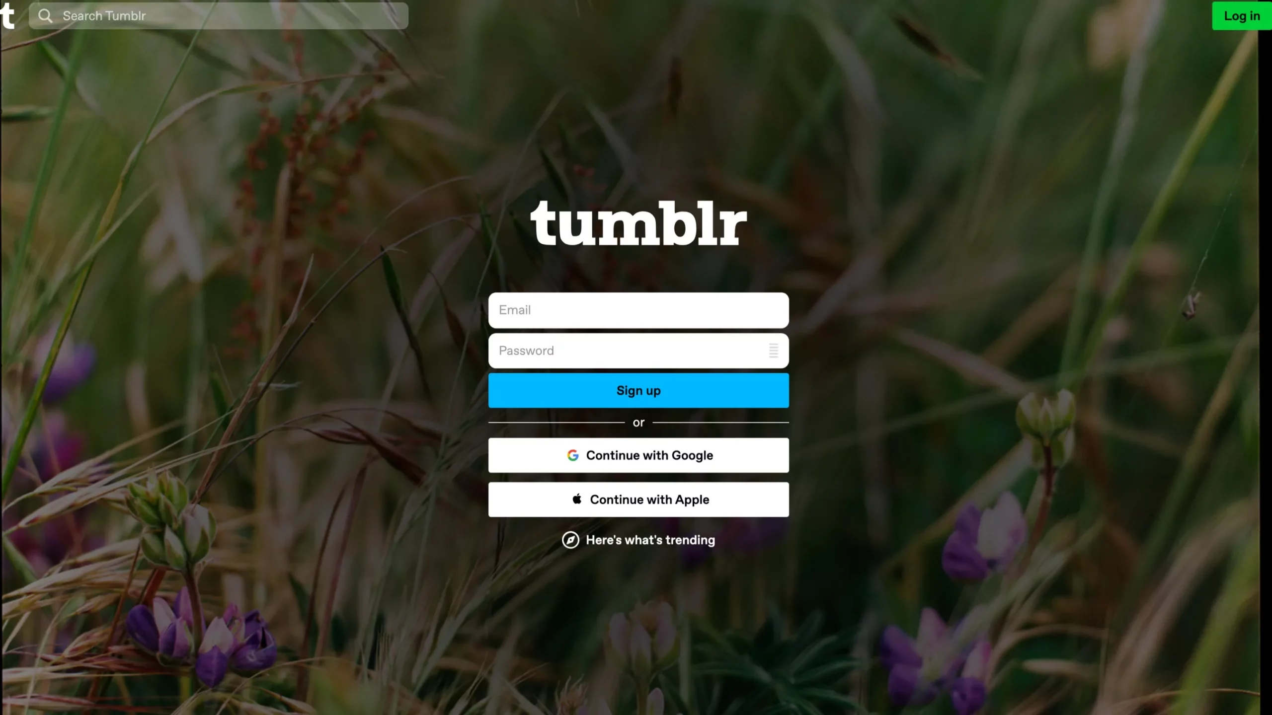 Tumblr- Login