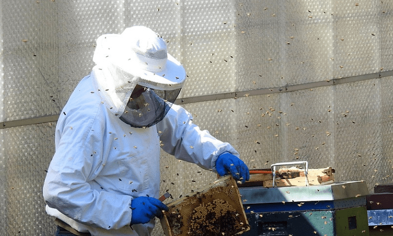 Top 24 Unusual Hobbies bee keeping