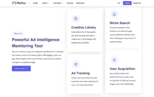 Why BigSpy Stands Out?