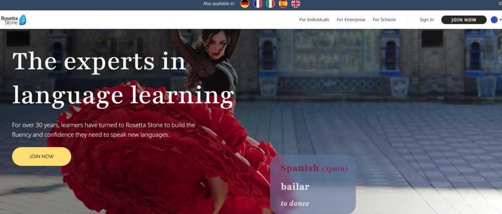 rosetta stone overview