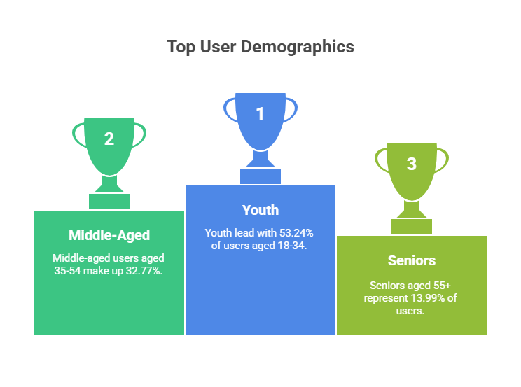Demographics of Users