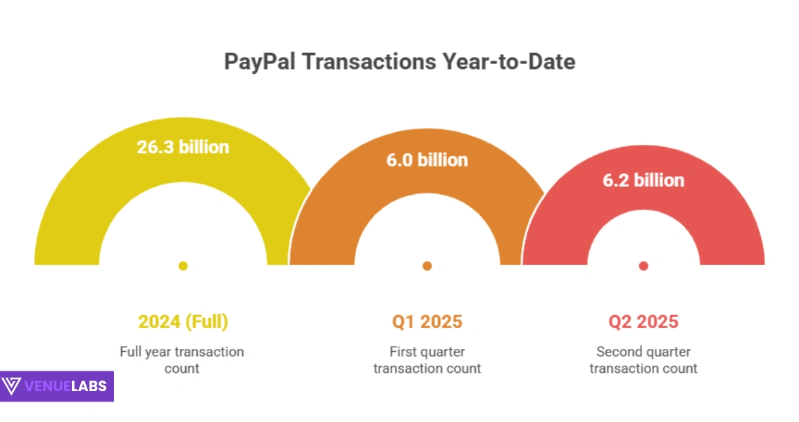 PayPal Transactions Statistics